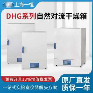 上海一恒自然对流干燥箱实验室恒温箱DHG 9031A烘箱循环烘干箱