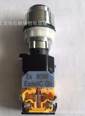 防爆自锁带灯按钮 IICT6