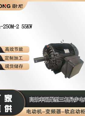 YBX4-250M-2 55KW 隔爆型BT4 CT4 200V~720V  50Hz 防爆高压电机