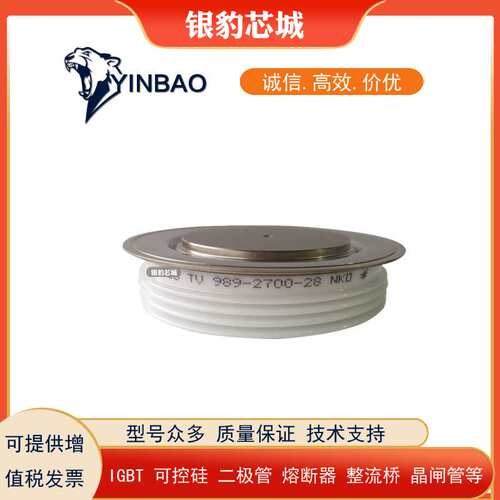 SKT493/04E SKT493/08E SKT493/12E整流二极管晶闸管调频可控硅