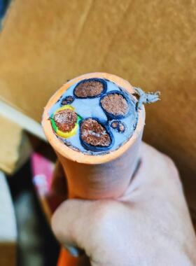 【铛裆机械】德国进口电缆796CP 4x50+2x2x2.5 8芯屏蔽高柔伺服动