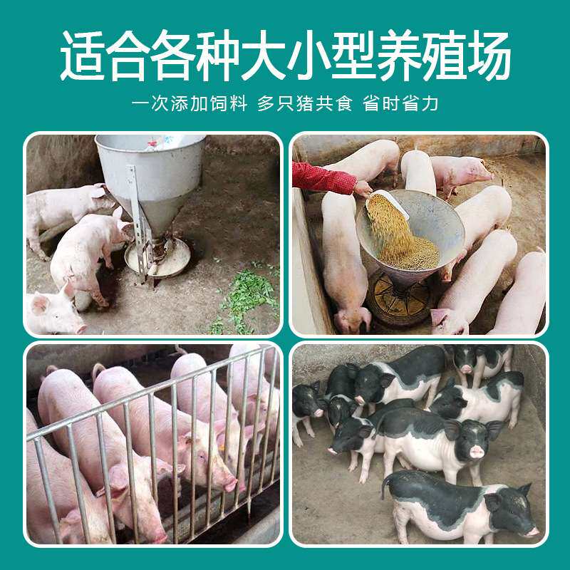 猪槽干湿喂料器自动下料器猪食槽小猪料槽猪料槽育肥料槽养猪设备