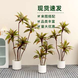 仿真绿植造景朱蕉盆栽室内客厅沙发装饰高端轻奢仿真植物盆景假树