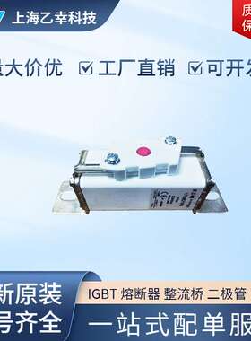 巴斯曼熔断器  170M2030 170M2031 170M2032 170M2033 170M2035