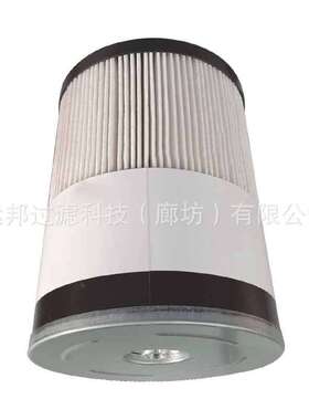 供应颇克P550736  FS19729  P550737 FS19536  33651燃油柴油滤芯