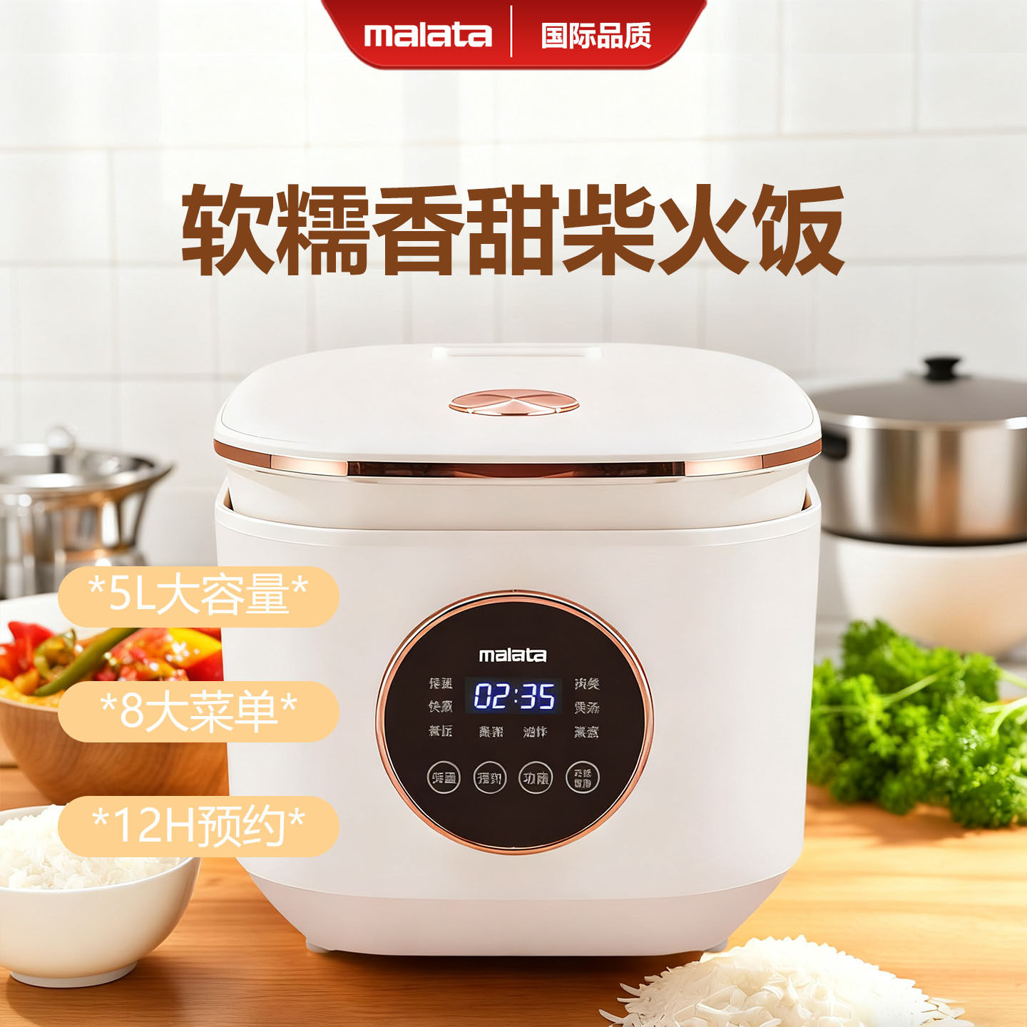 万利达家用5L多功能电饭煲