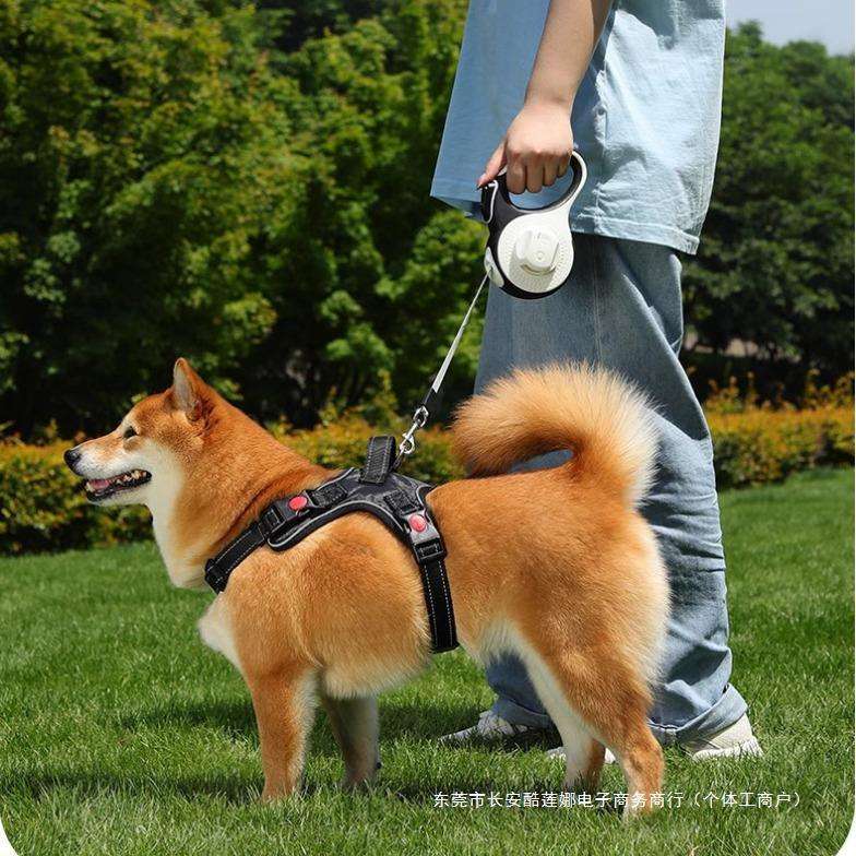 狗狗牵引绳中小型犬带灯自动伸缩遛狗绳狗链泰迪柯基外出防止挣脱