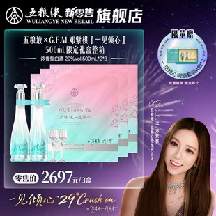 【邓紫棋推荐】29度五粮液一见倾心限定礼盒500mL*2瓶白酒整箱装