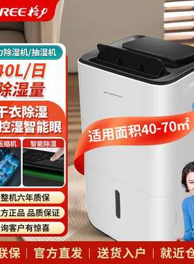 DH40EP除湿机家用抽湿机低噪40升/天60~72㎡地下室卧室节能除湿机