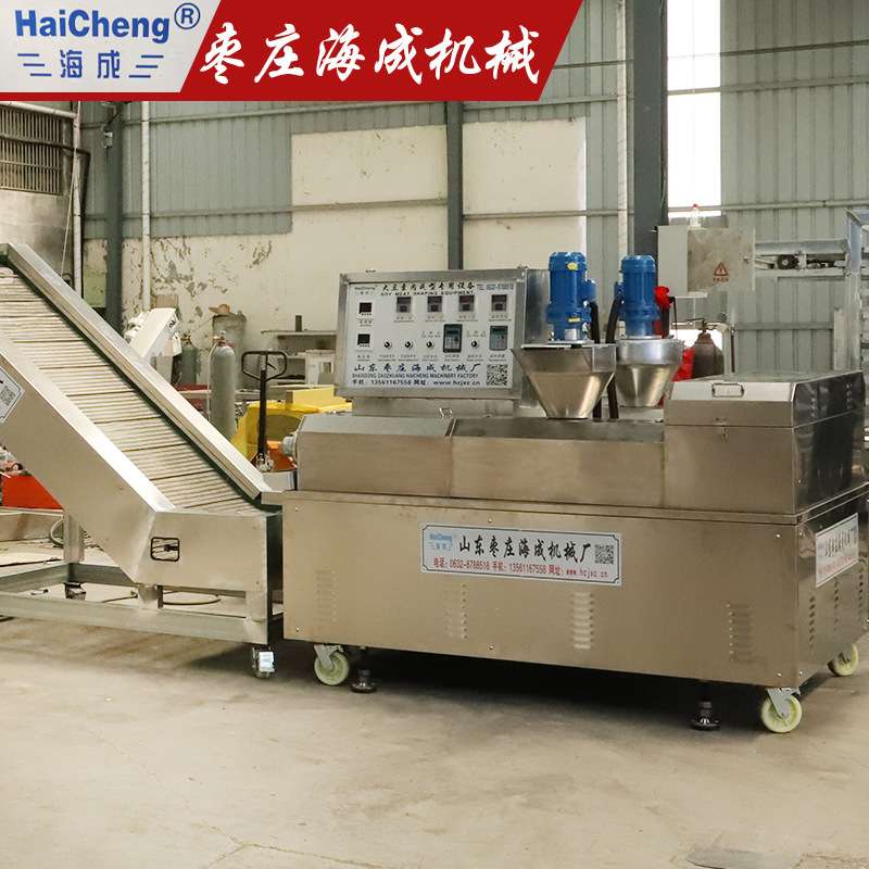 豆皮机器图片及价格 商用人造肉成型机 大豆做麻辣制品的设备厂家