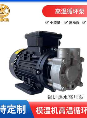 供应小型高温导热油泵WD-07锅炉热水循环泵 模温机泵浦