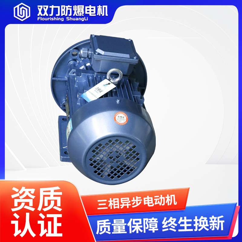双力YE3/YX4系列三相异步电动机 380V国标二极能效全铜线电动机