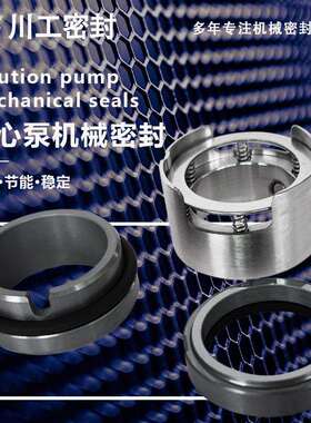 抽真空机械密封 2BE1-203A2BE1 203-030HYO 轴机械密封高温高压