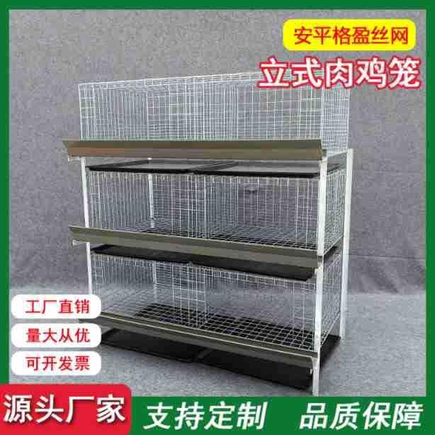 厂家三层立式肉鸡笼肉鸡框架笼优惠鸡笼设备