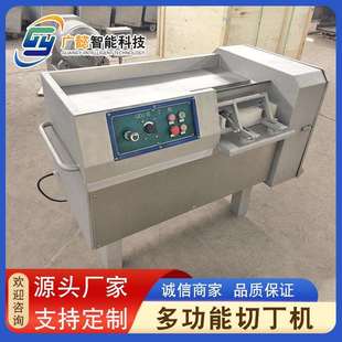 全自动肉类切丁机 350型550型切丁机 鸡胸肉切肉丁冻肉切丁机器