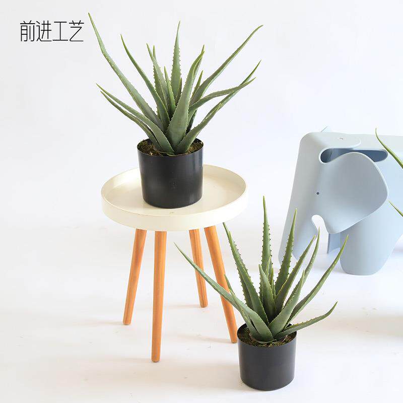 仿真芦荟盆栽热带多肉假植物店铺桌面橱窗落地造景沙漠绿植龙舌兰