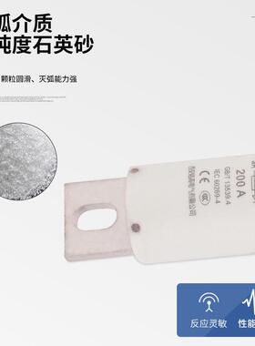 充电桩熔断器RSM3178(RS309)/DC1000V200A新能源电动汽车直流FWP
