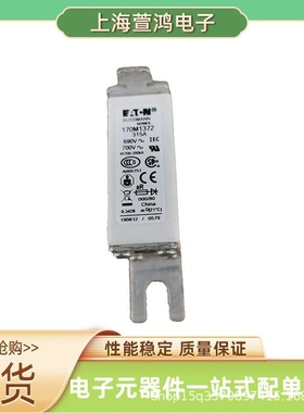 170M5452 170M5458 170M5459 170M5460原厂低压熔断器保险丝