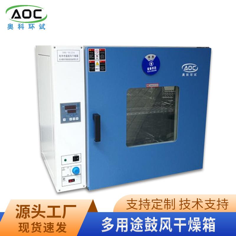 电热鼓风干燥箱立式背部吹风试验室烘箱干燥箱厂家