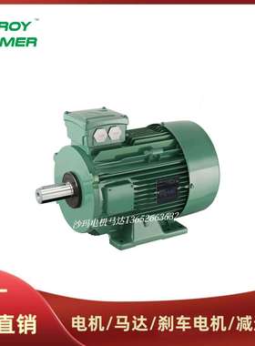 法国LEROY-SOMER电机马达LS LSES系列63 71 80 90 100 112M~200L