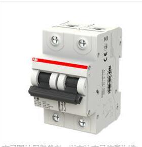 2TAZ190200R0824;SH802-C100/10255010/ABB高分断微型断路器
