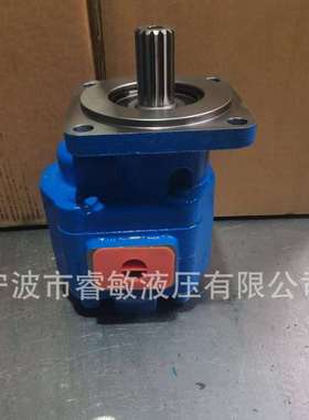 力士乐AZPF AZPB 液压齿轮泵高压单齿轮泵 AZPFF 11016011L厂家