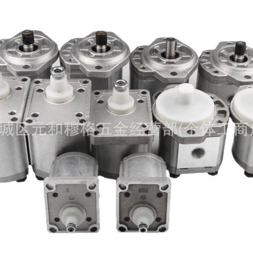 MARZOCCHI马祖奇高压齿轮泵GHP1A-D2/3/4/5/6/7/9/11/13/16/20-FG