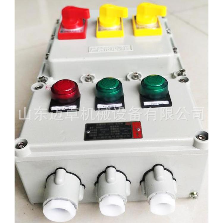 防爆控制箱粉尘防爆环境动力防爆箱供应铝合金防爆配电箱EXDIIBT4