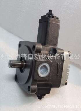 新力特XIN LI TE叶片泵VP-40-FA3泵头VP-30-FA3液压油泵VP-20-FA3