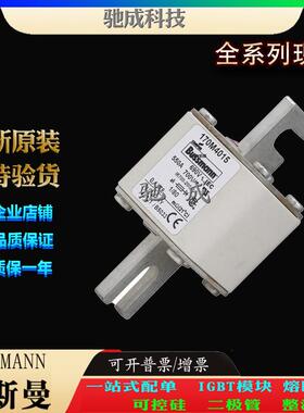 巴斯曼170M4015 170M4016 170M4017 厂价直销批零兼营 低压熔断器