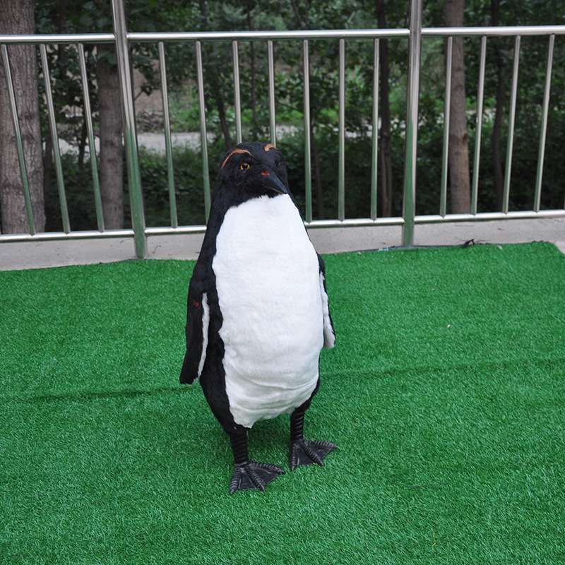 仿真海洋生态动物企鹅 真动物模型展厅装饰品摆件 活动道具