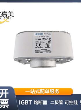 170M7059 170M7060 快速熔断器 保险丝 电子元器件 量大价优