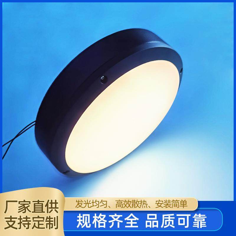 低电压24V 吸顶灯 无光斑 阳台灯 LED灯珠贴片 10W功率