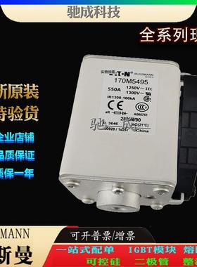 巴斯曼170M5495 170M5496 170M5497 加工制作销售 快熔保险丝