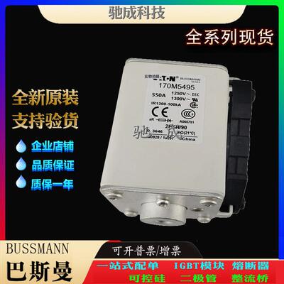 巴斯曼170M5495 170M5496 170M5497 加工制作销售 快熔保险丝