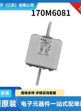 FWP-40B FWP-50B FWP-60B FWP-70B原厂陶瓷熔断器 保险丝