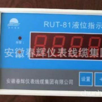 RUT-81 液位指示器 远传油箱液位监控仪