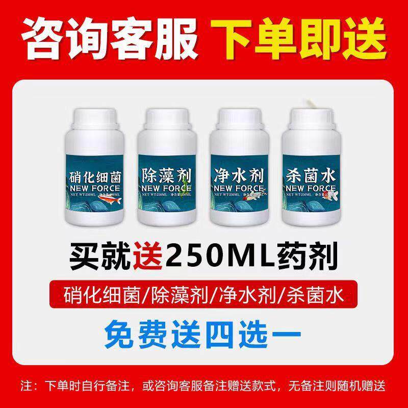 新型不锈钢鱼池过滤器外置水循环过滤系统户外大型过滤箱净水设备