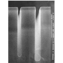 提供SEM扫描电镜测试