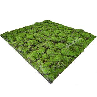 仿真青苔草皮苔藓植绒人造假草坪仿真植物墙墙面橱窗盆景绿植装饰