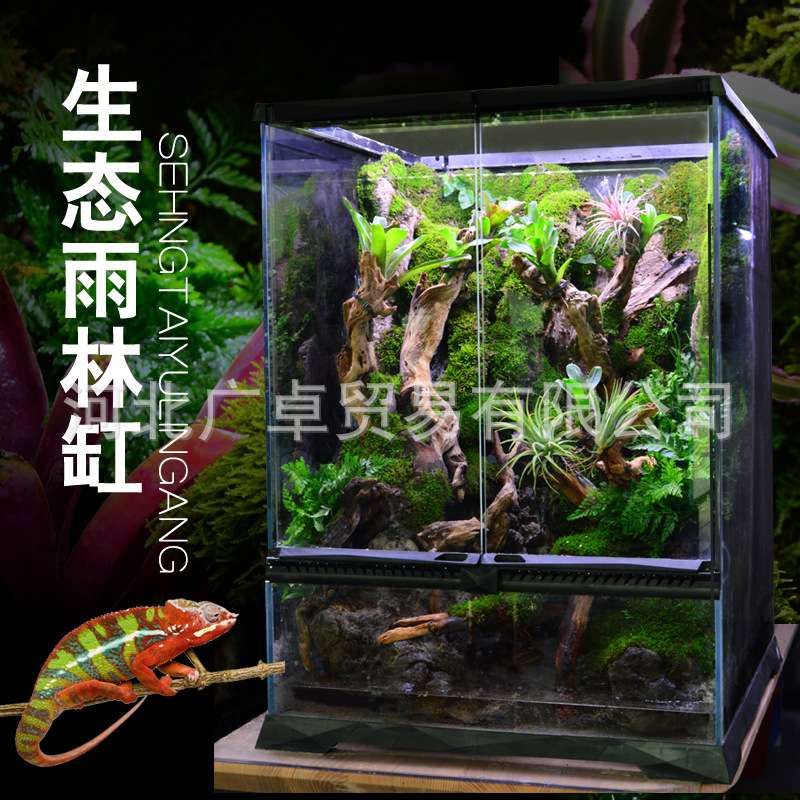 雨林缸雨淋缸生态造景缸热带雨林植物蜥蜴爬宠爬虫守宫饲养箱爬宠