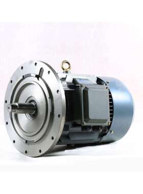 摆线减速机专用电机(YX3-100--160) 4#