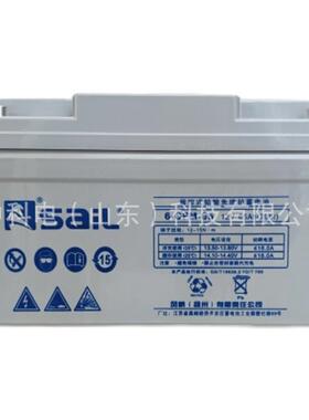 风帆蓄电池6-GFM-65太阳能储能通信蓄电池12V65AH直流屏蓄电池