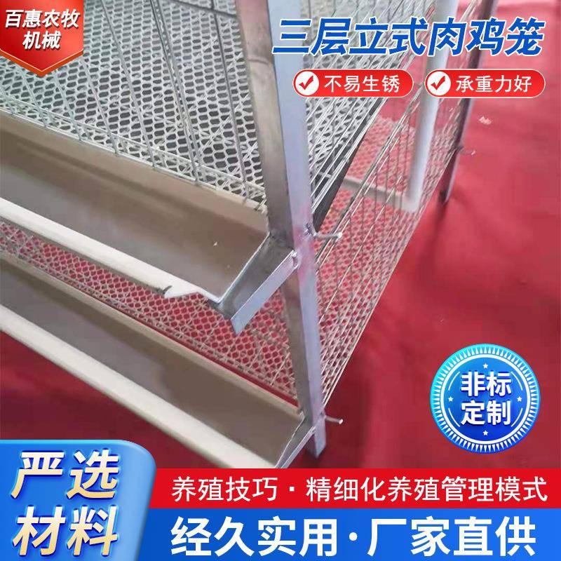 厂家销售三层立式肉鸡笼养殖养鸡设备肉鸡笼防锈肉鸡笼热镀锌鸡笼