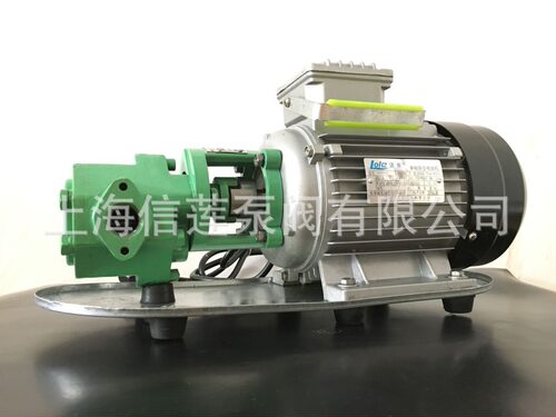 齿轮泵 WCB-75微型输油泵 自吸便携式油料运输泵 手提式油桶油泵