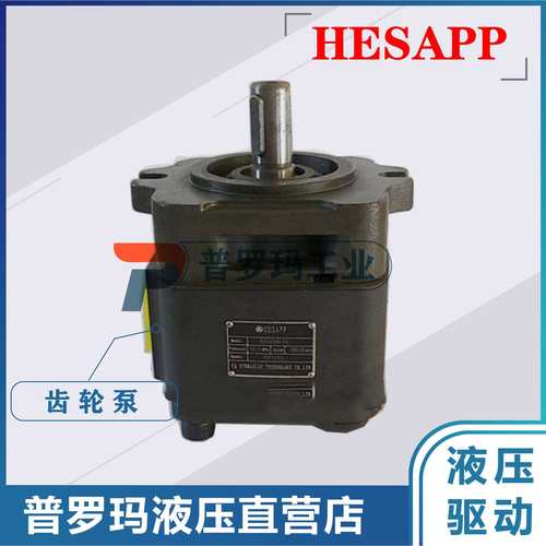 HESAPP高压齿轮泵内啮合齿轮泵BIG4040H-A01FR-1/4025/4032/4050