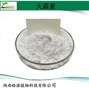 大蒜提取物5%10%25% 纯大蒜粉 garlic extract 大蒜浓缩粉 大蒜素