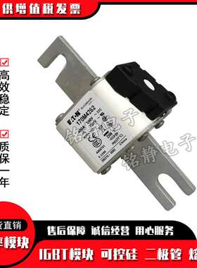 170M4608 170M4609 170M4610 170M4611 170M4612熔断器170M4613