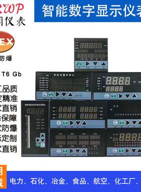 XMT54UOVP 数显控制仪80160双屏上海上润仪表