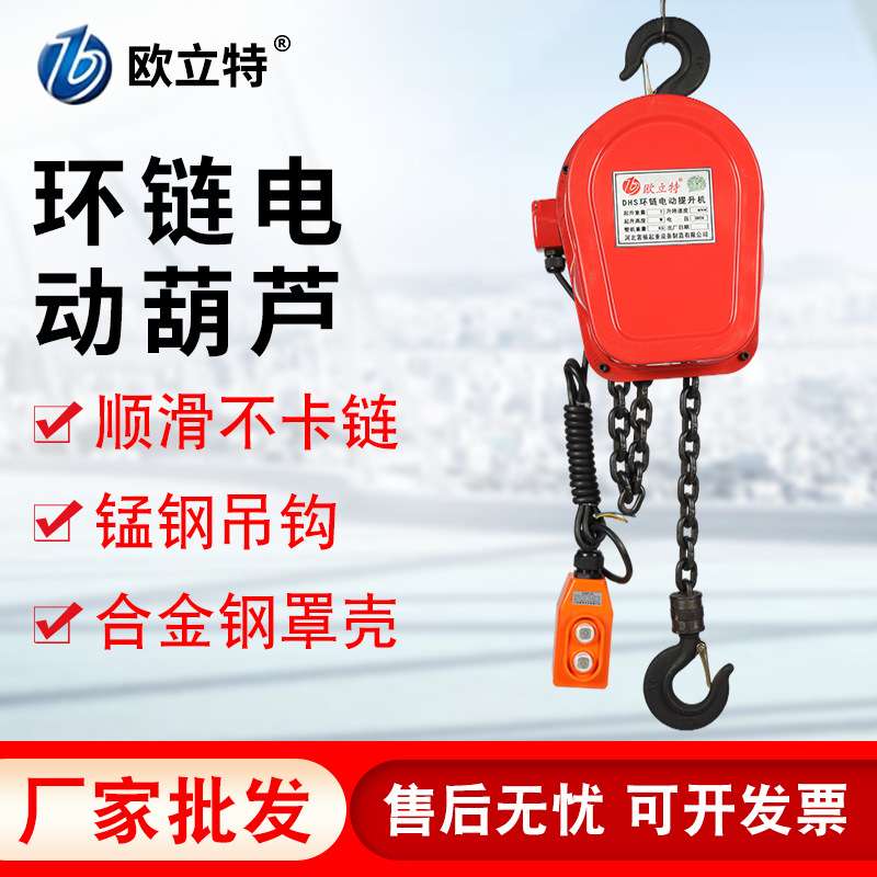 厂家 DHS型电动提升机2T6M环链电动葫芦 倒链电动葫芦提升机
